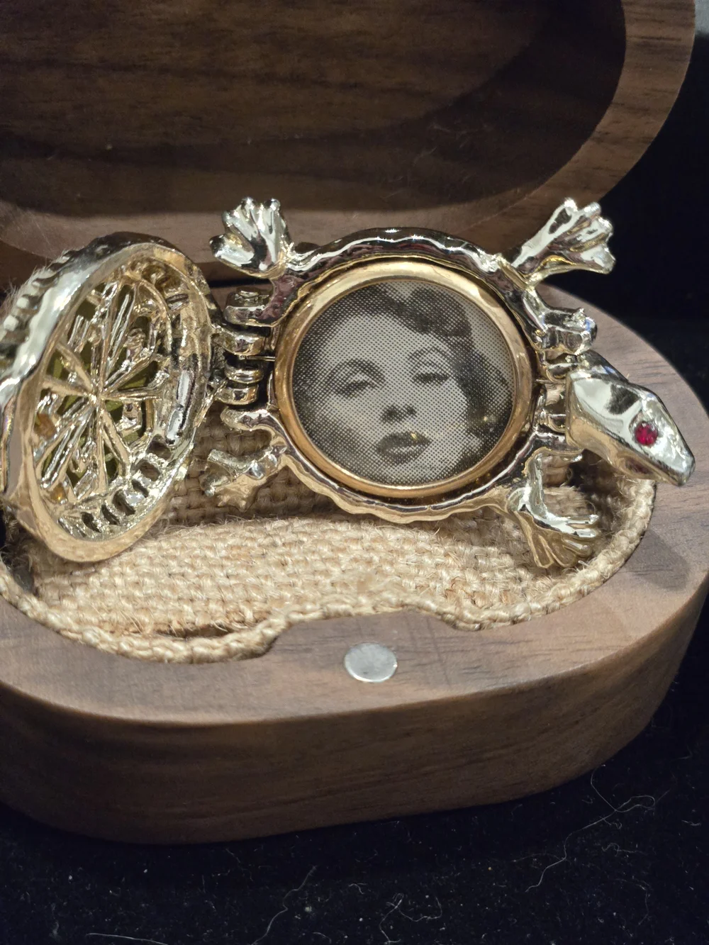 Mid-century Turtle Novelty Locket Brooch with Faux Fur